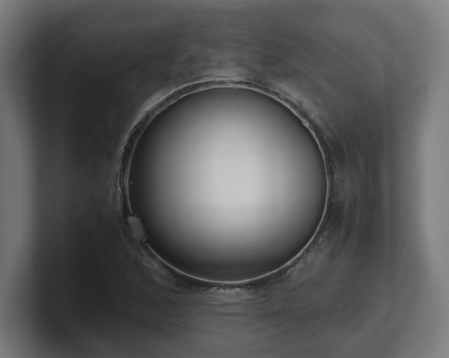 X0000101661168200807171308