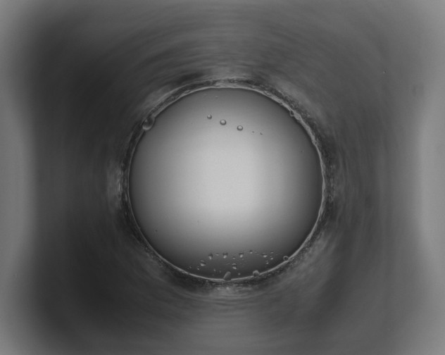 X0000101661169200807171308