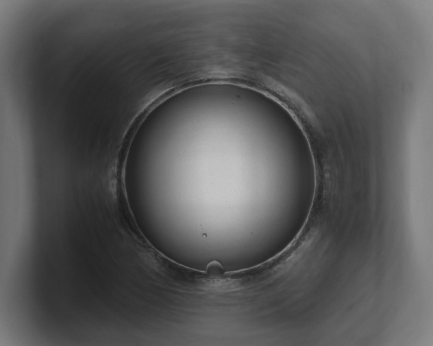 X0000101661170200807171308