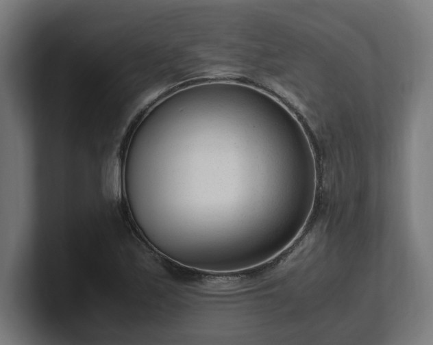 X0000101661171200807171308