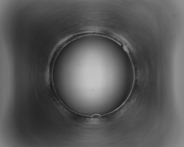 X0000101661172200807171308