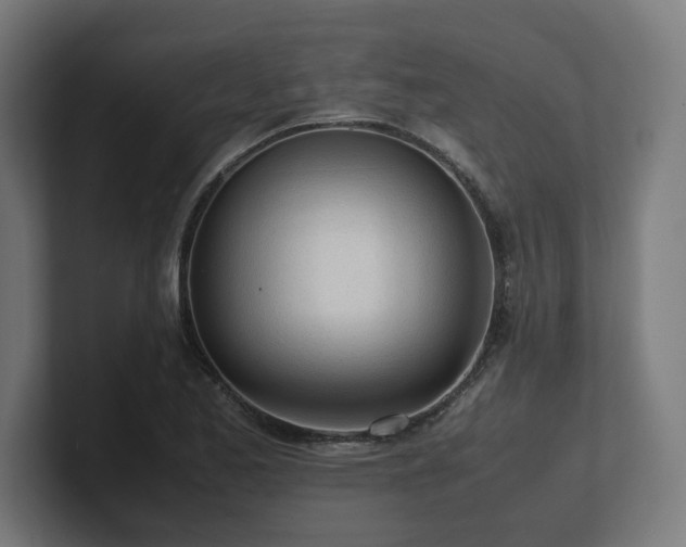 X0000101661173200807171307