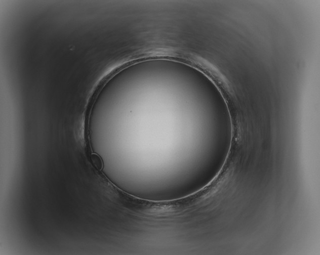 X0000101661174200807171307