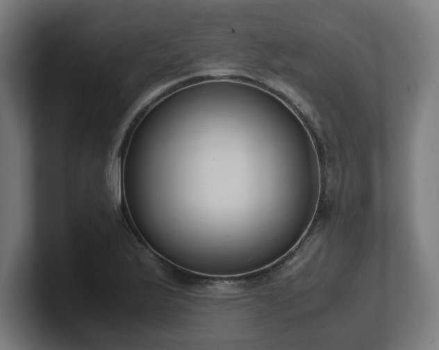 X0000101661175200807171307