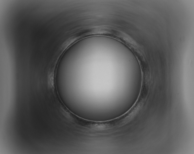 X0000101661177200807171307