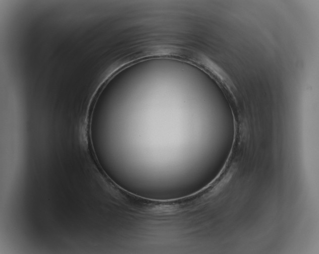 X0000101661178200807171307