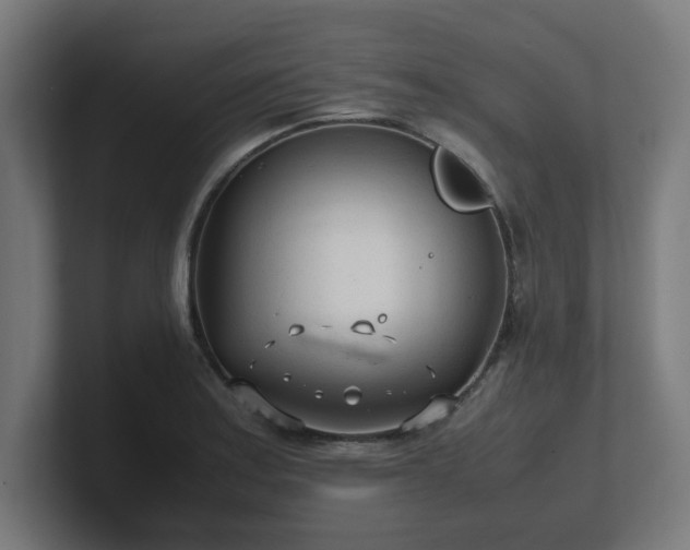 X0000101661179200807171307