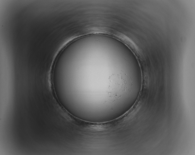 X0000101661182200807171307