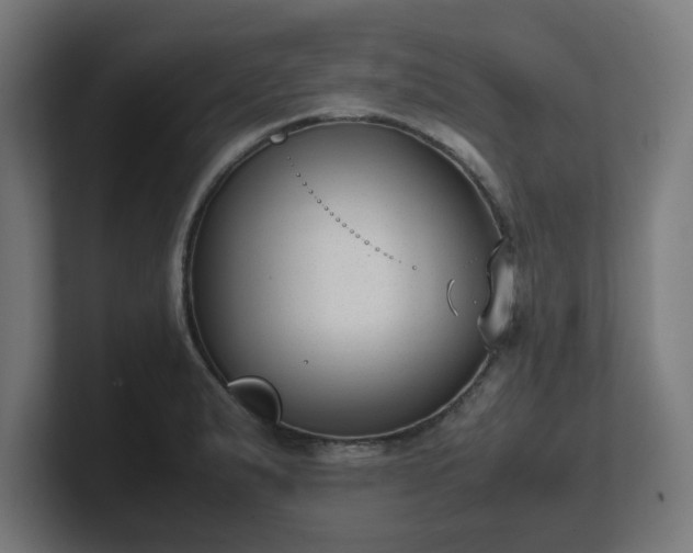 X0000101661183200807171307