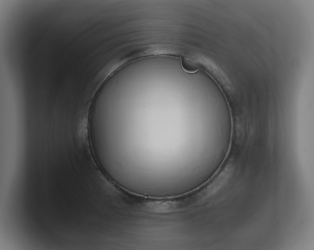 X0000101661185200807171307