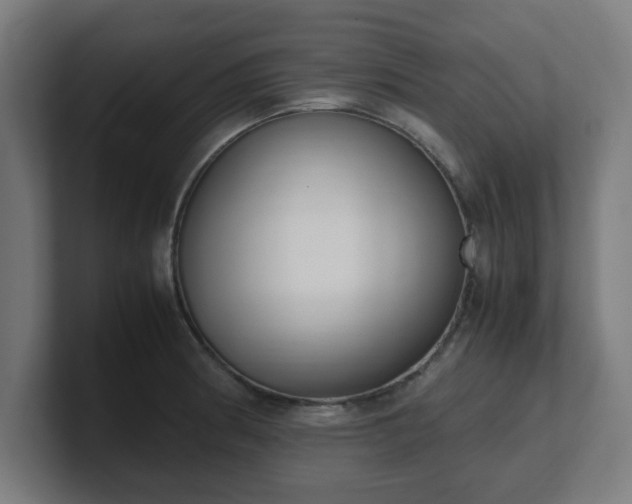 X0000101661186200807171307