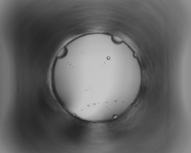 X0000101661187200807171307