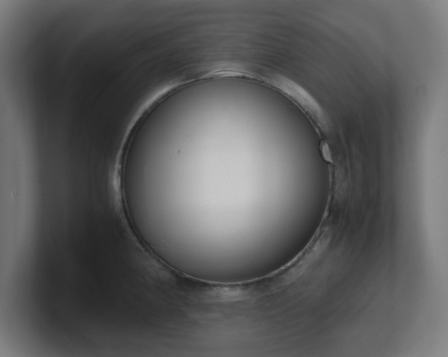 X0000101661190200807171307