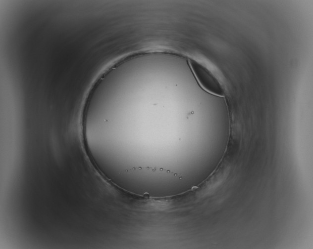 X0000101661191200807171307