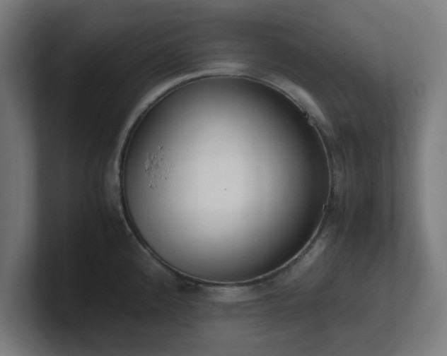 X0000101661192200807171307