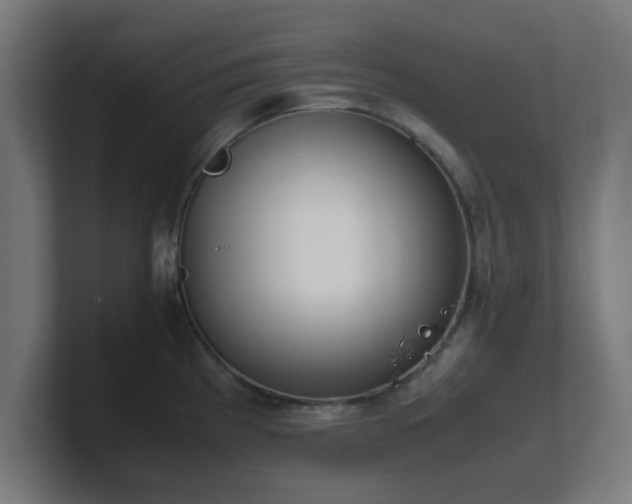 X0000101661193200807171307