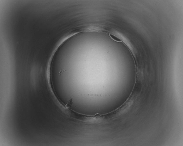 X0000101661195200807171307