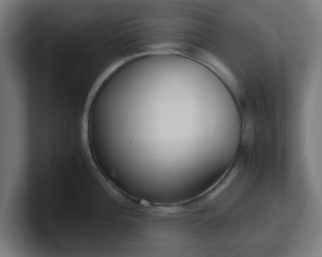 X0000101661196200807171307