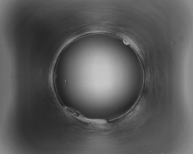 X0000101661197200807171307