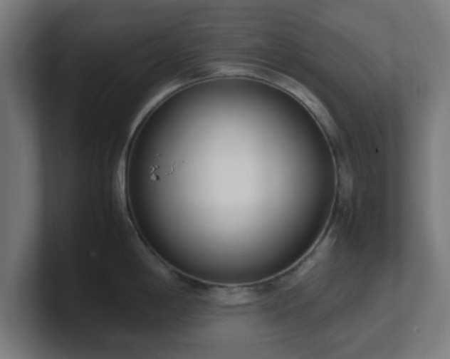 X0000101661198200807171307