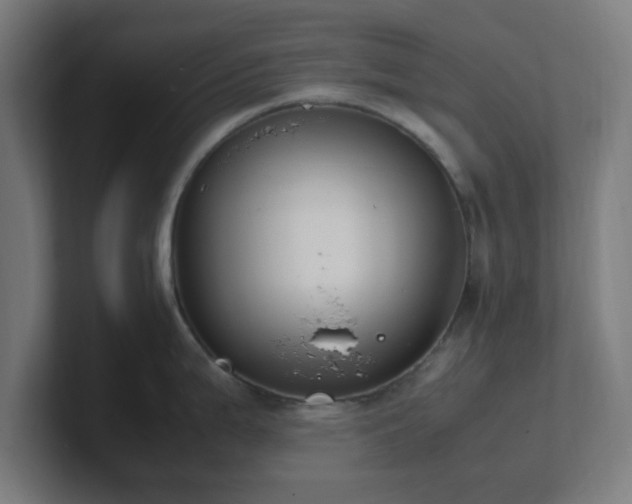 X0000101661199200807171307