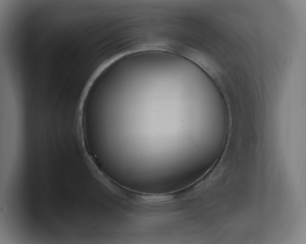 X0000101661200200807171307