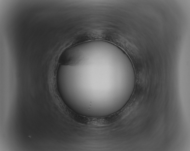 X0000101661201200807171307