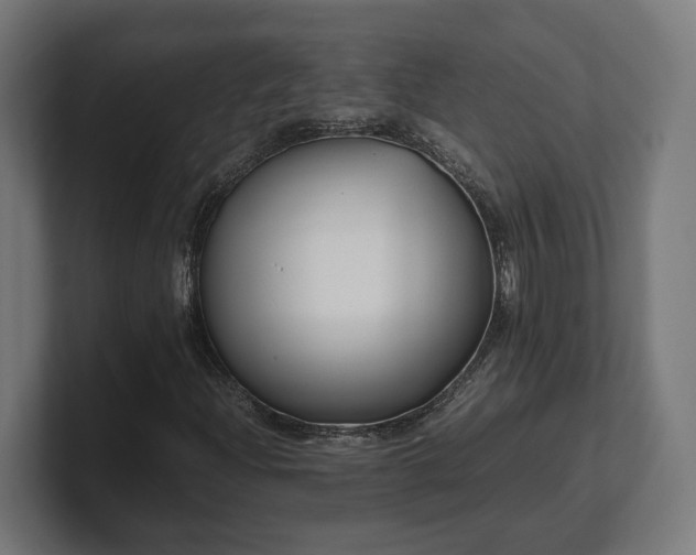 X0000101661204200807171307