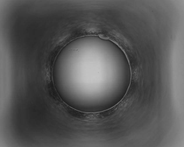 X0000101661205200807171307