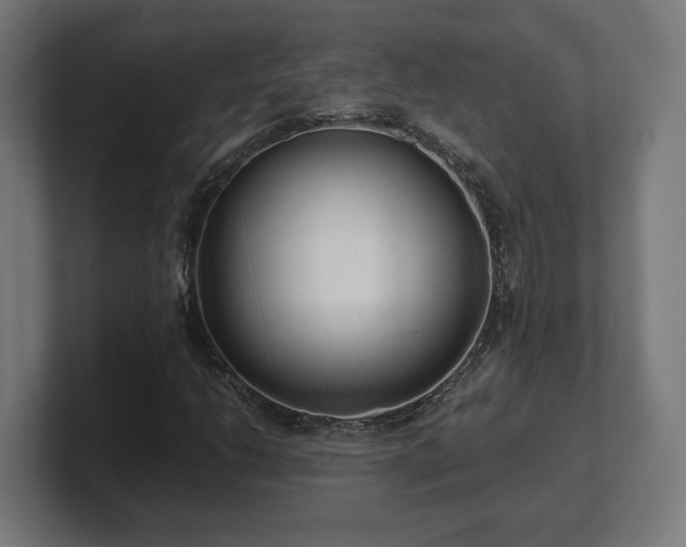 X0000101661206200807171307