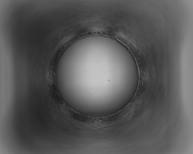 X0000101661207200807171307