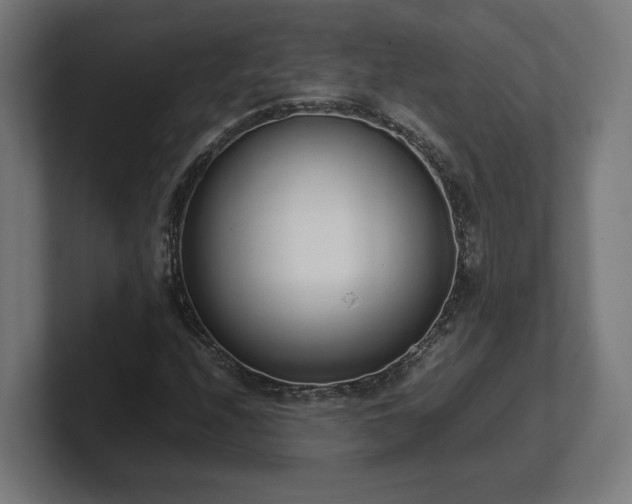 X0000101661208200807171307