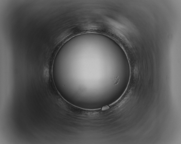 X0000101661209200807171307