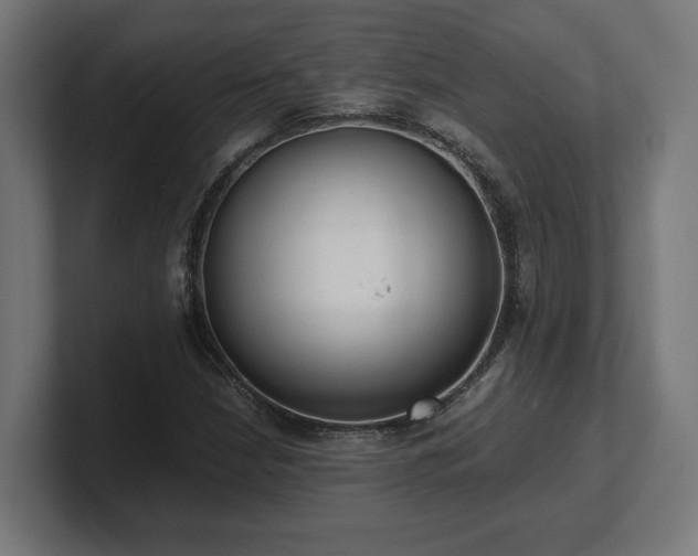 X0000101661210200807171307