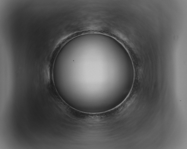 X0000101661214200807171307