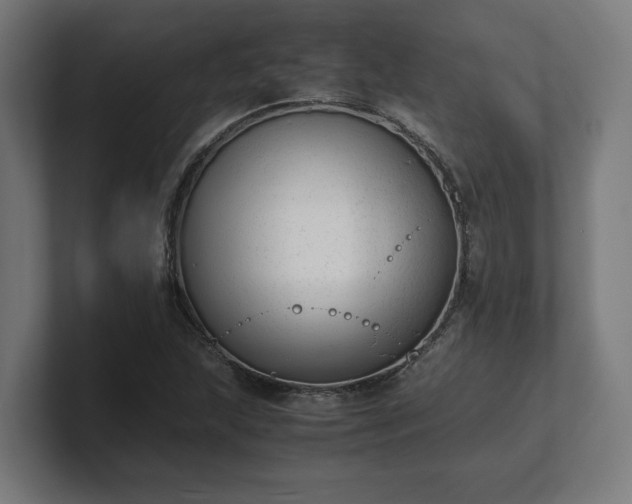 X0000101661215200807171307