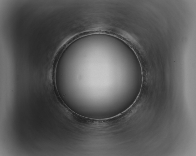 X0000101661216200807171307