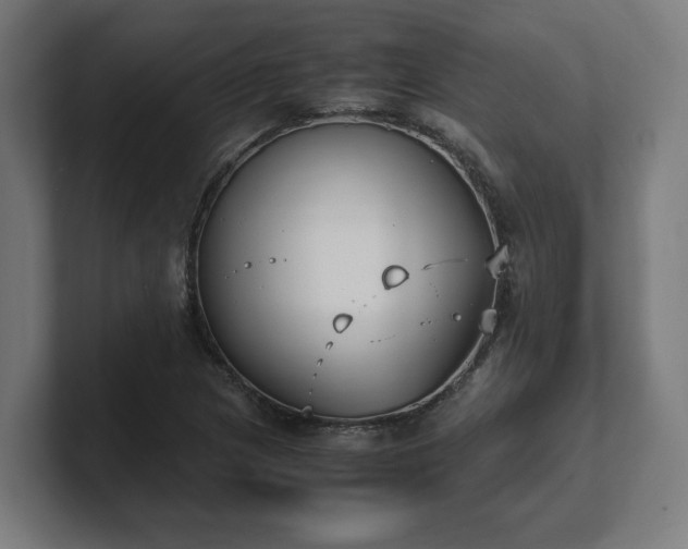 X0000101661217200807171307