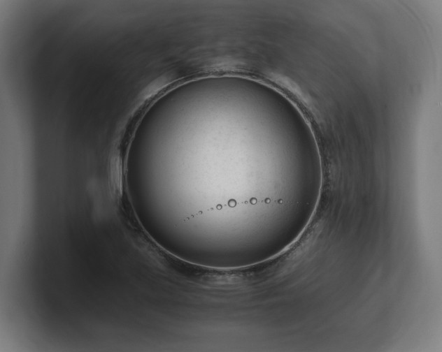 X0000101661219200807171307