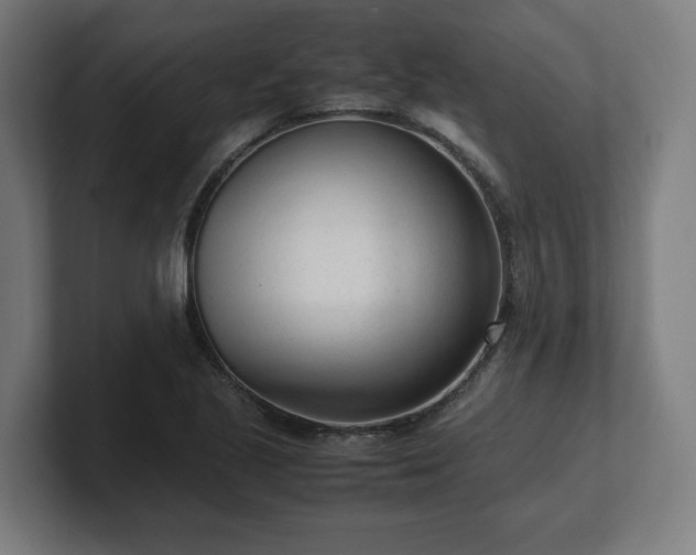 X0000101661221200807171307