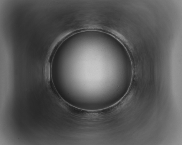 X0000101661223200807171307