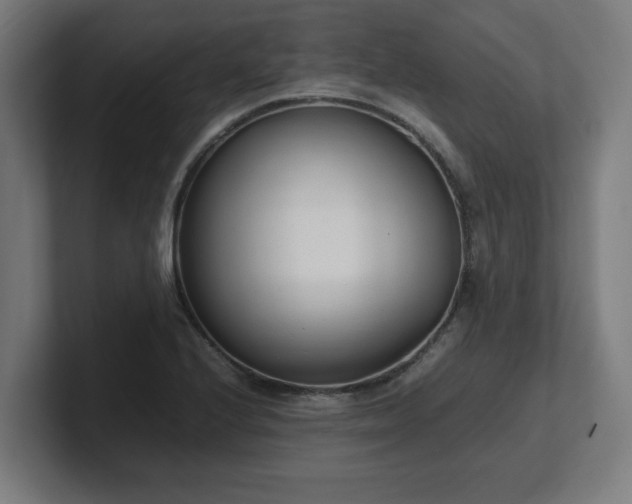 X0000101661224200807171307