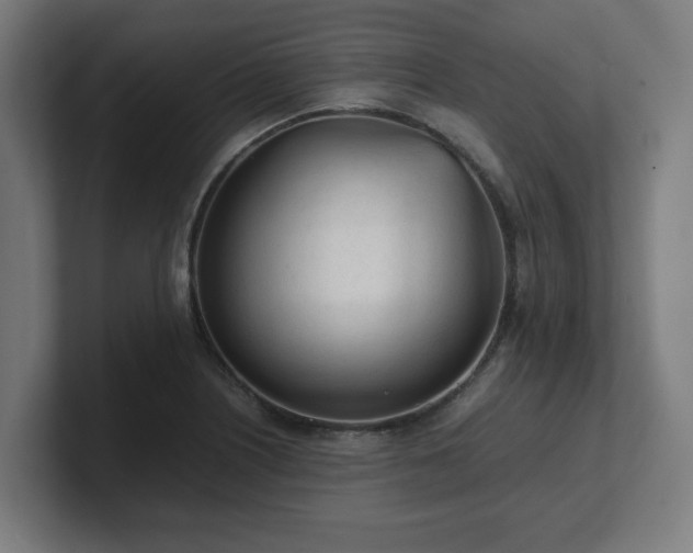 X0000101661226200807171307