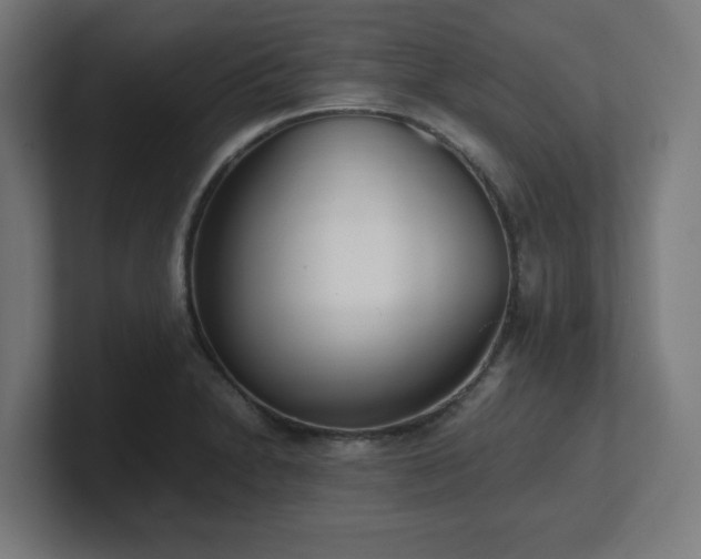 X0000101661230200807171307