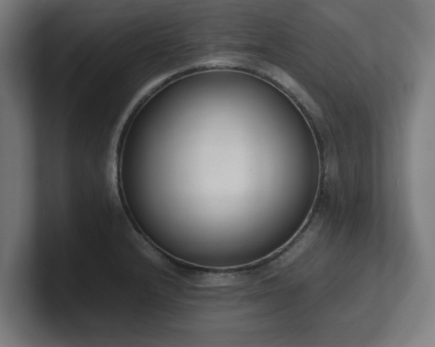 X0000101661232200807171307