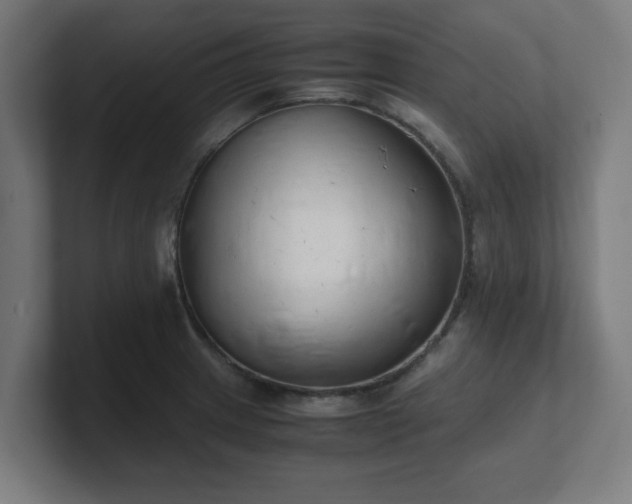 X0000101661233200807171307