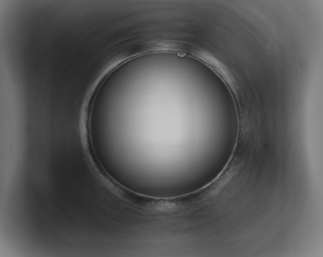 X0000101661235200807171307