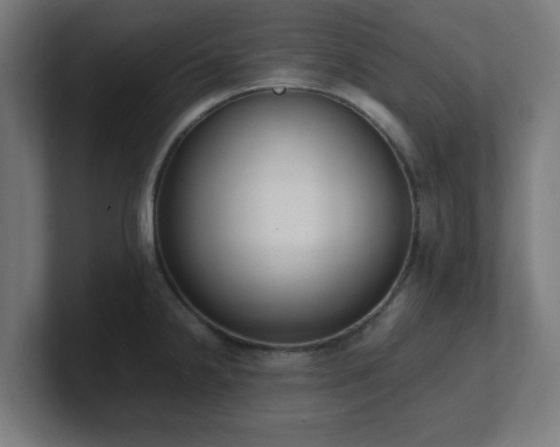 X0000101661238200807171307