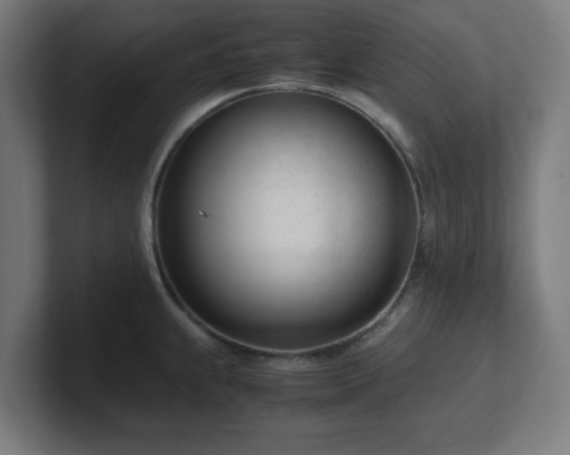 X0000101661239200807171307