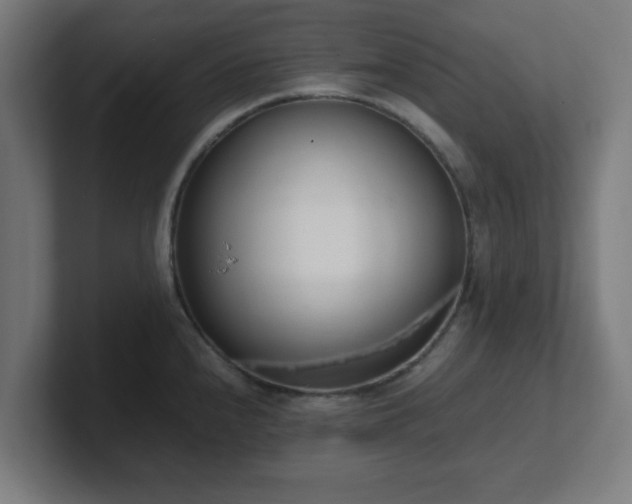 X0000101661240200807171307